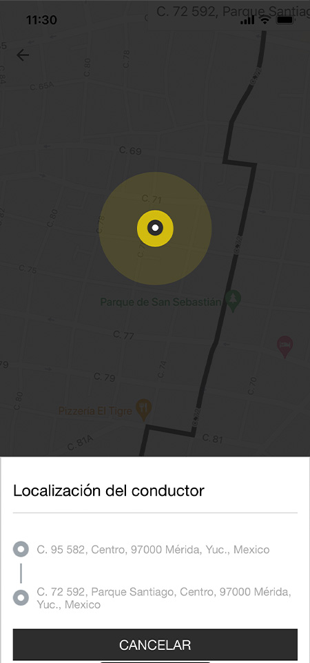 Screen | Cliente 04 - Localizacion Conductor - MX