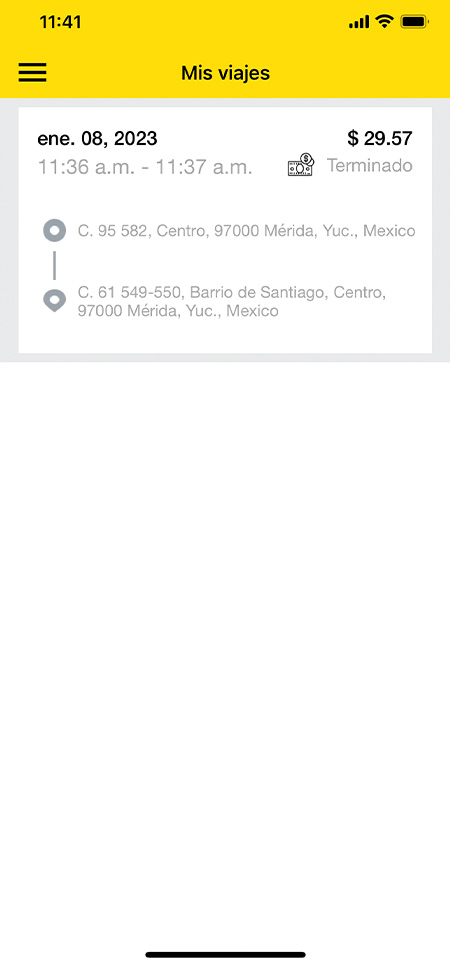 Screen | Client 12 - Registro De Viaje - MX